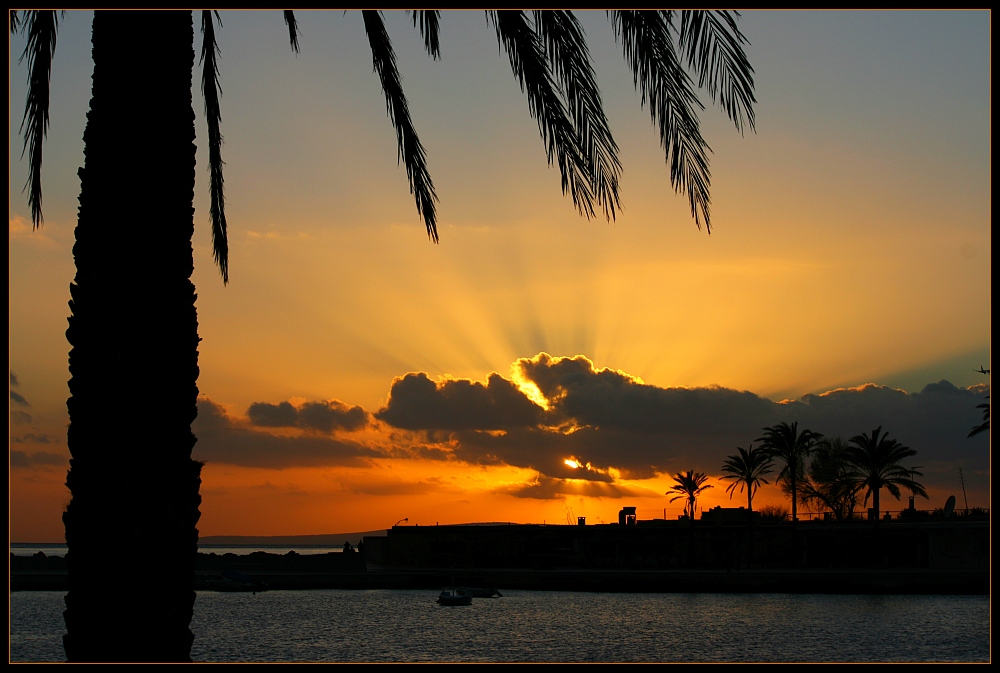 Mallorca im Winter