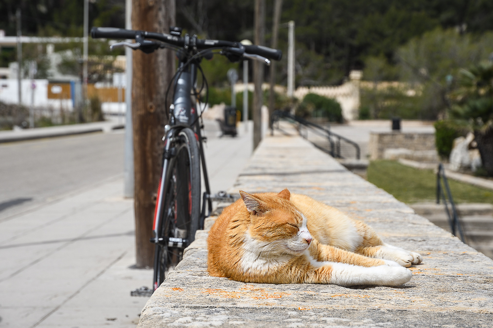 Mallorca Impressionen 2o18 [2]