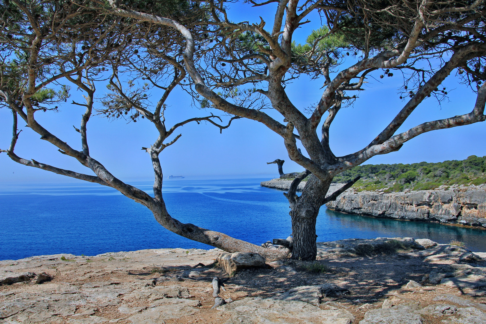 Mallorca Impressionen