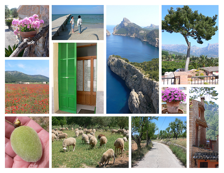 Mallorca - Impressionen