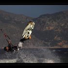 Mallorca - Kitesurfing I