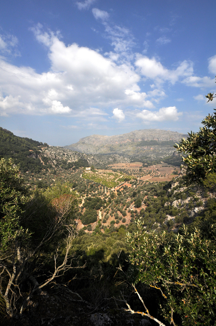 Mallorca - Kloster Lluc