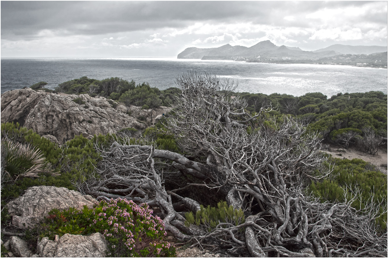 Mallorca - Küste bei Cala Rajada