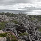 Mallorca - Küste bei Cala Rajada