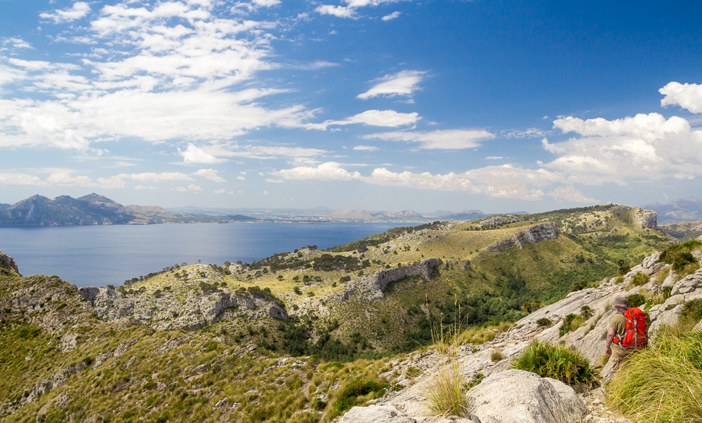 Mallorca Landscape IV