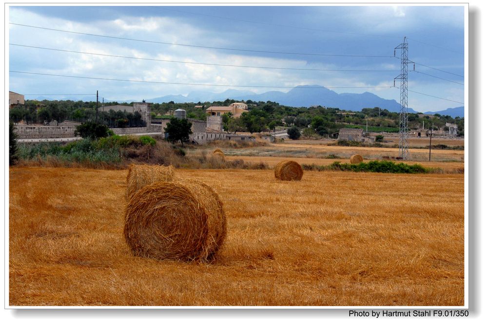 Mallorca, Landschaft bei Santa Margalida (paisaje alrededor de Santa Margalida)