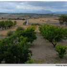 Mallorca, Landschaft bei Santa Margalida (Paisaje cerca de Santa Margalida)