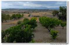 Mallorca, Landschaft bei Santa Margalida (Paisaje cerca de Santa Margalida)