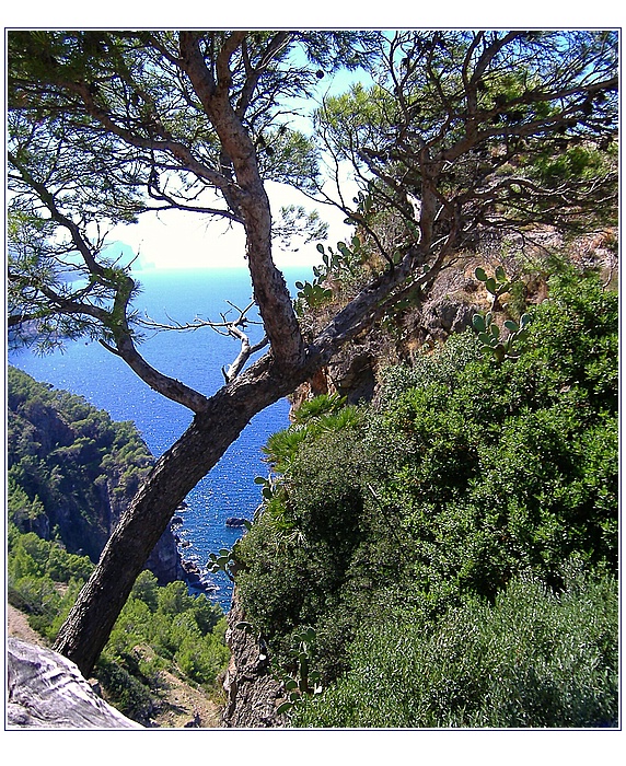 Mallorca  - Malerische Westküste