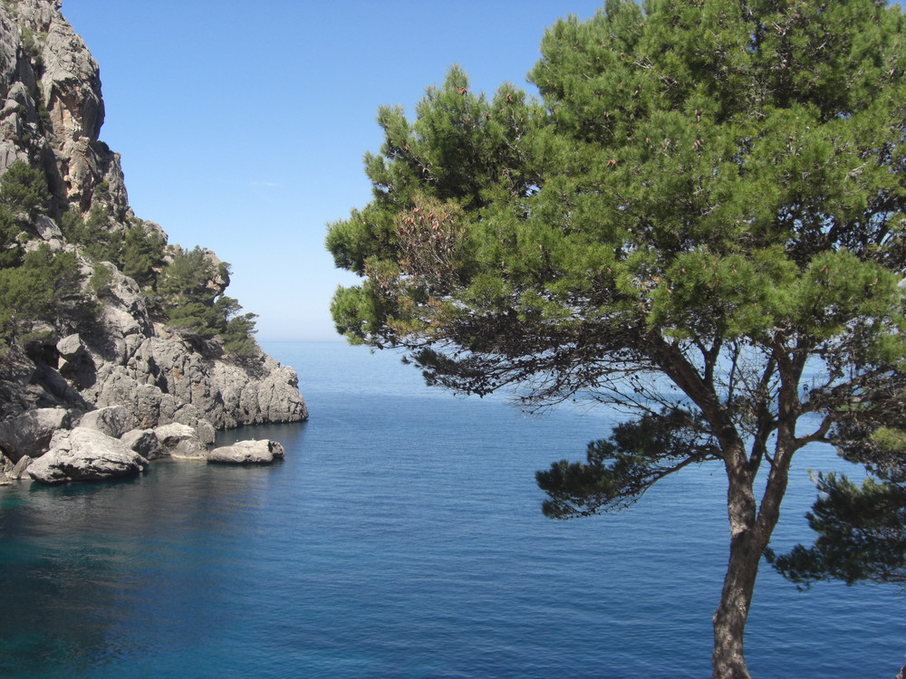 Mallorca Maravillosa!