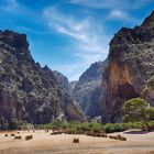 Mallorca Mountains