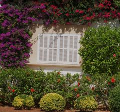 Mallorca - Natürlicher Fensterrahmen