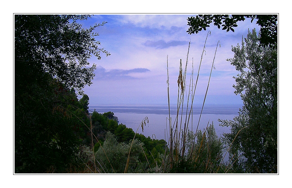 Mallorca - Natur pur