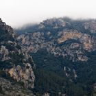 Mallorca Nebel I