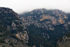 Mallorca Nebel I