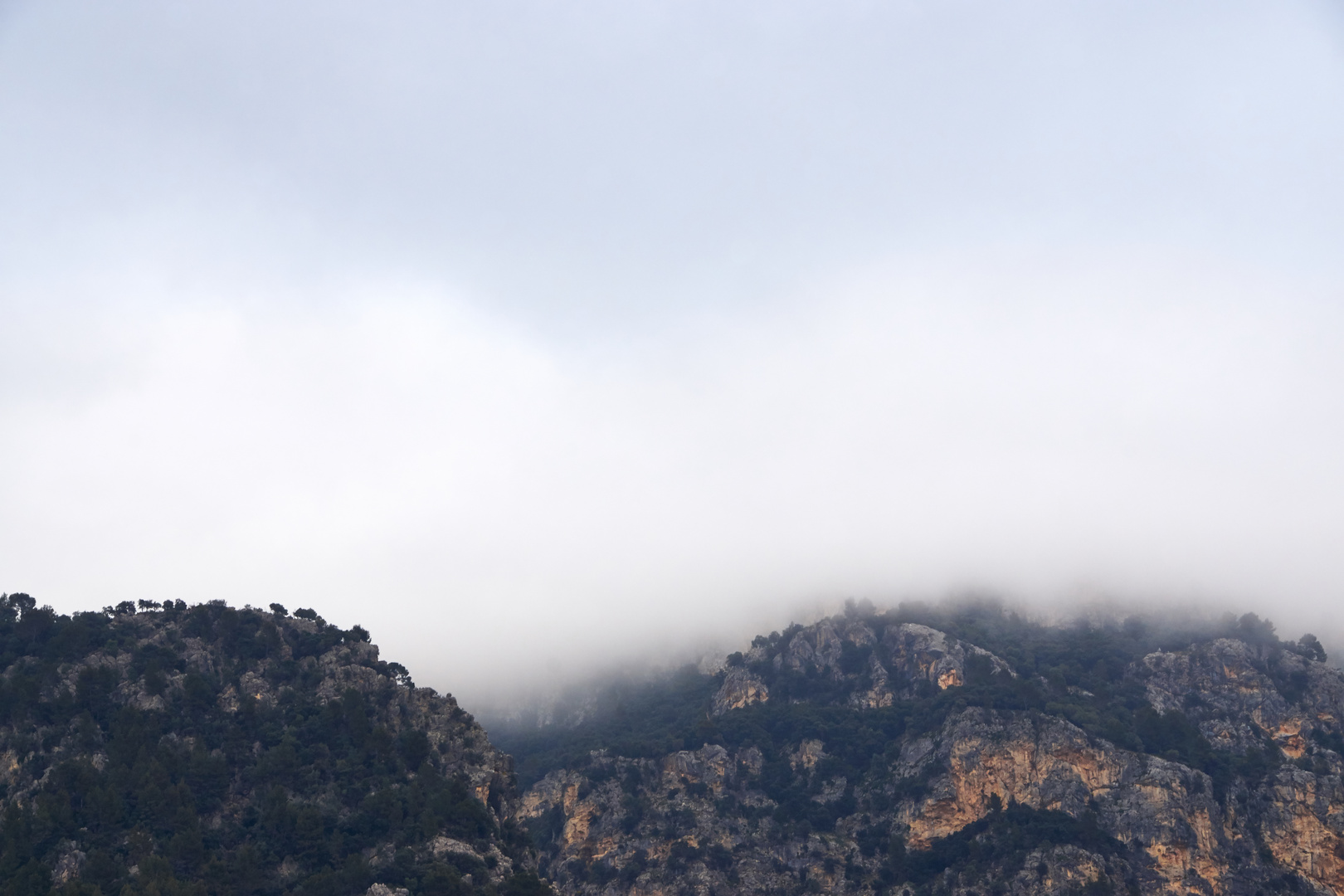 Mallorca Nebel II