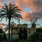 Mallorca Palma 2016-01