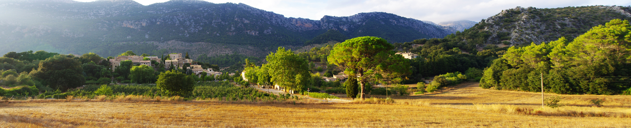 Mallorca Panorama