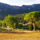 Mallorca Panorama