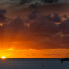 Mallorca - Port Andratx - Sonnenuntergang