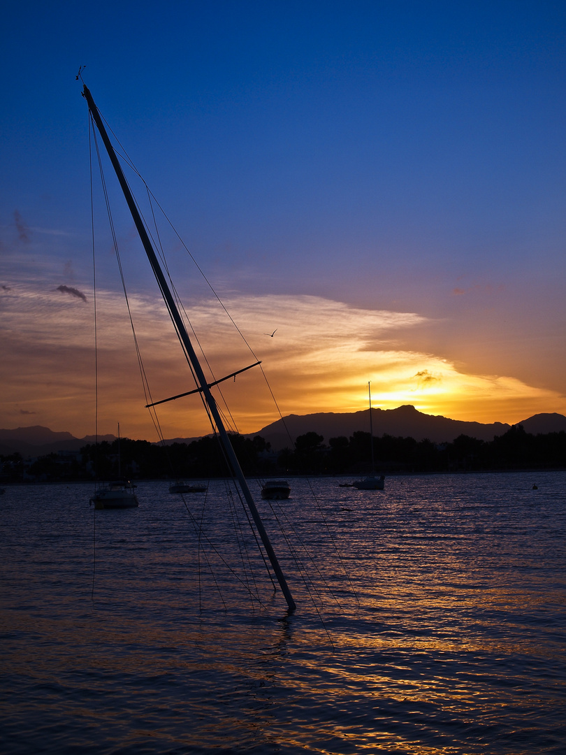 Mallorca Port de Aalcudia Boot