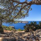 Mallorca - Sant Elm - Torre de Cala en Basset