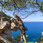 Mallorca - Sant Elm - Torre de Cala en Basset Felsen