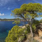 Mallorca - Sant Elm Torre de Cala en Basseta