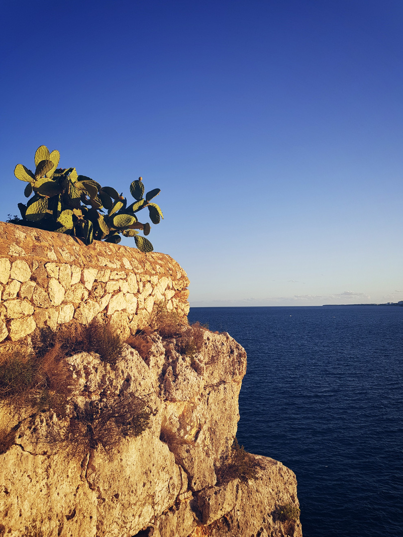 Mallorca, Spanien 