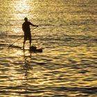 Mallorca-Standing Paddling im Sonnenuntergang