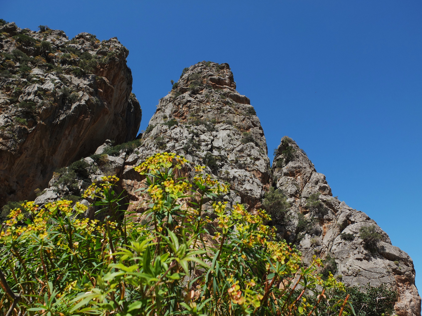 Mallorca Torrente de pareis 2