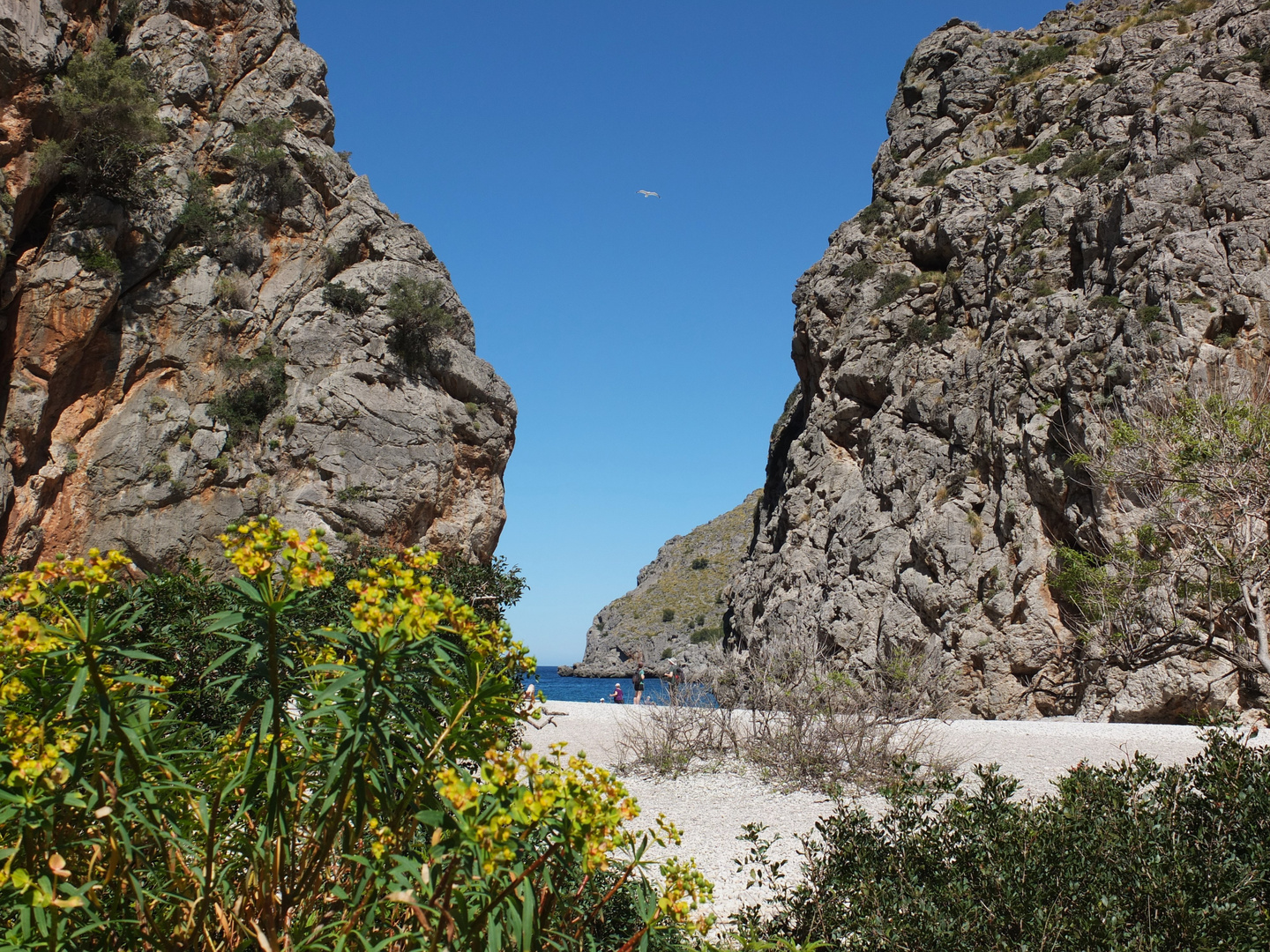 Mallorca Torrente de pareis 4