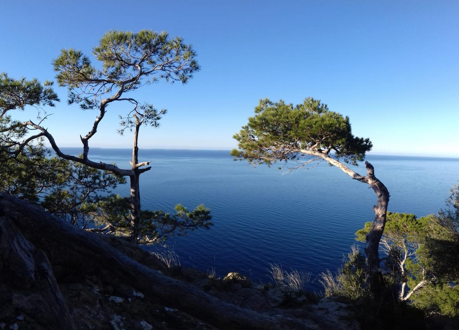 Mallorca, Westküste