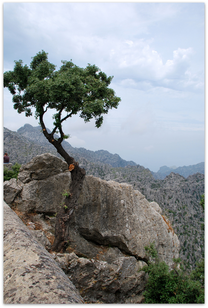 Mallorca - wie Caspar David Friedrich es gemalt hätte