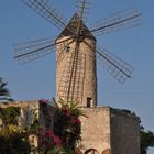 Mallorca - Windmühle .