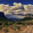 Mallorcas Berge