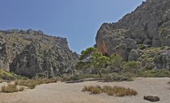 Mallorcas Canyons