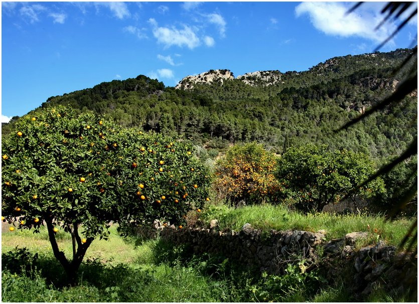 Mallorca´s Landschaft