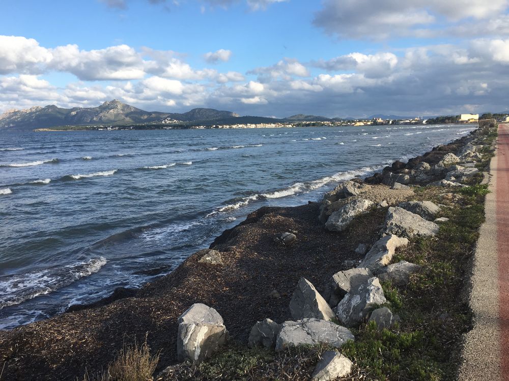 Mallorcas Norden bei Alcúdia 