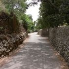 Mallorca`s Straßenidylle....