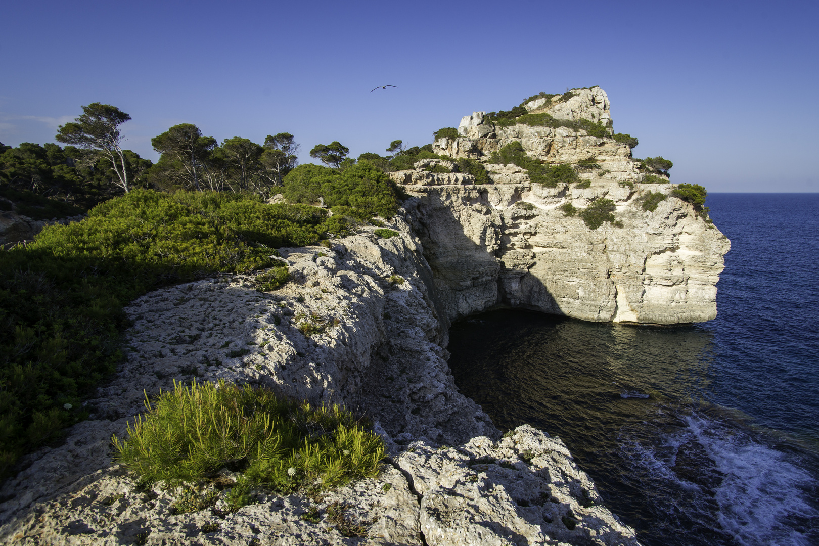 Mallorquinische Felsküste im Abendlicht