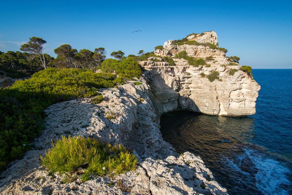 Mallorquinische Felsküste im Abendlicht