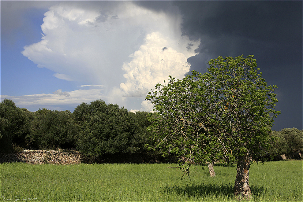 Mallorquinische Impressionen II