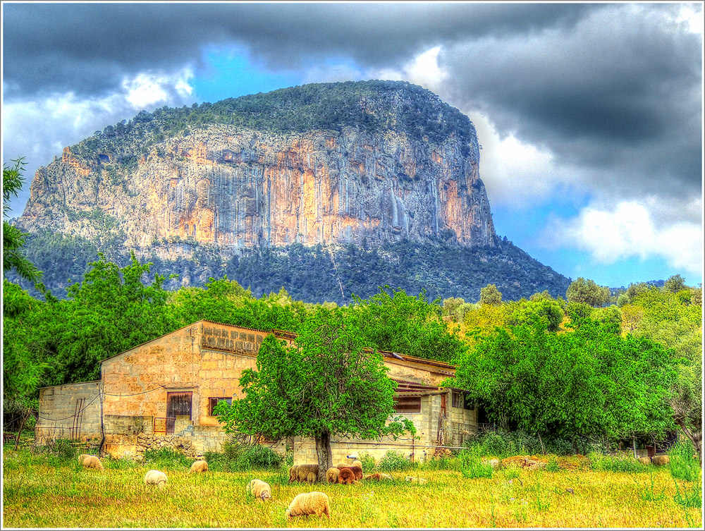 mallorquinische Natur **