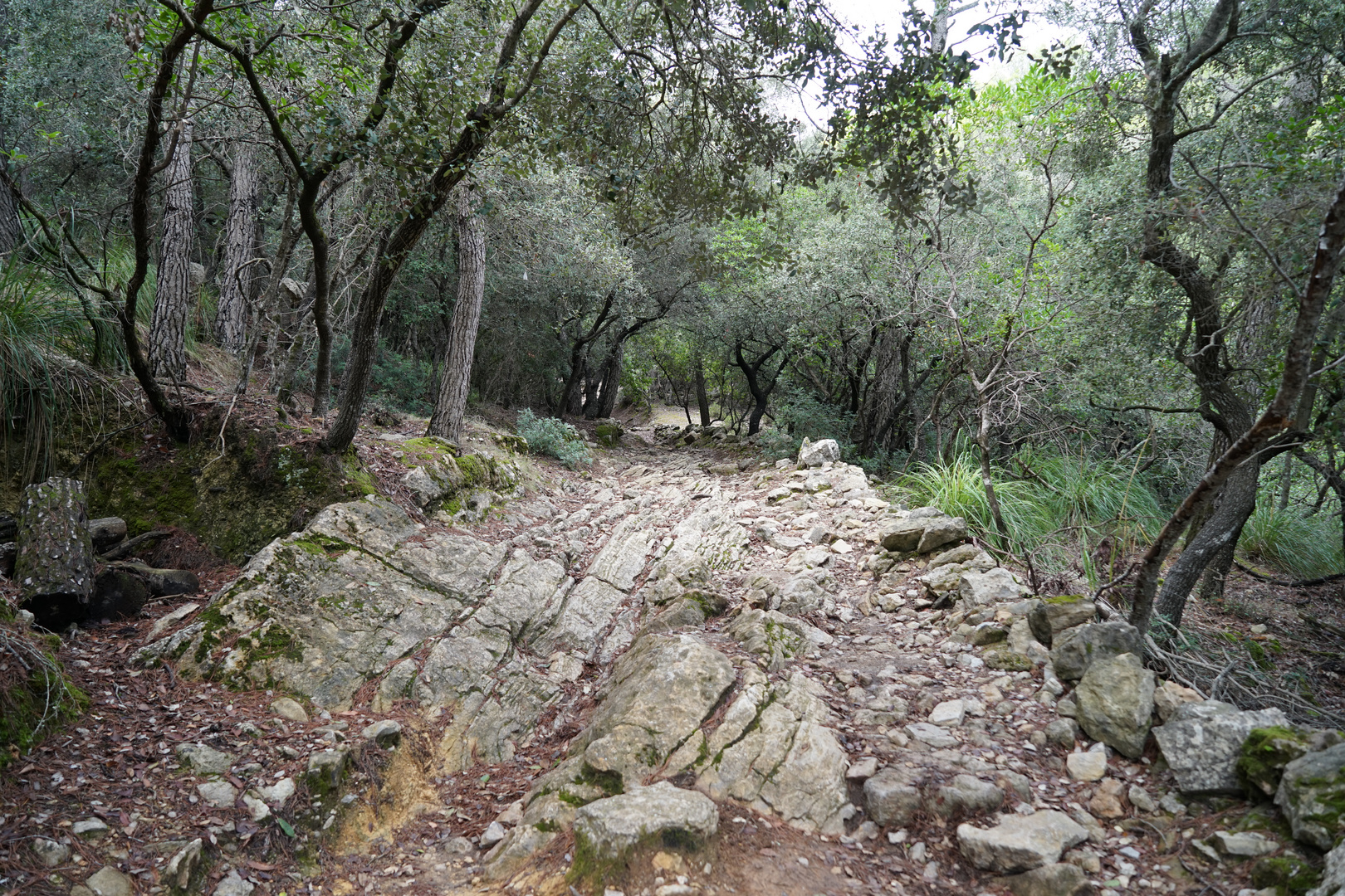 Mallorquinische Wanderwege