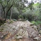 Mallorquinische Wanderwege