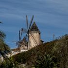 Mallorquinische Windmühlen