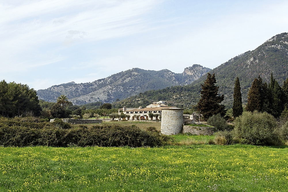 Mallorquinischer Frühling