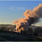 Malmesbury Mornings