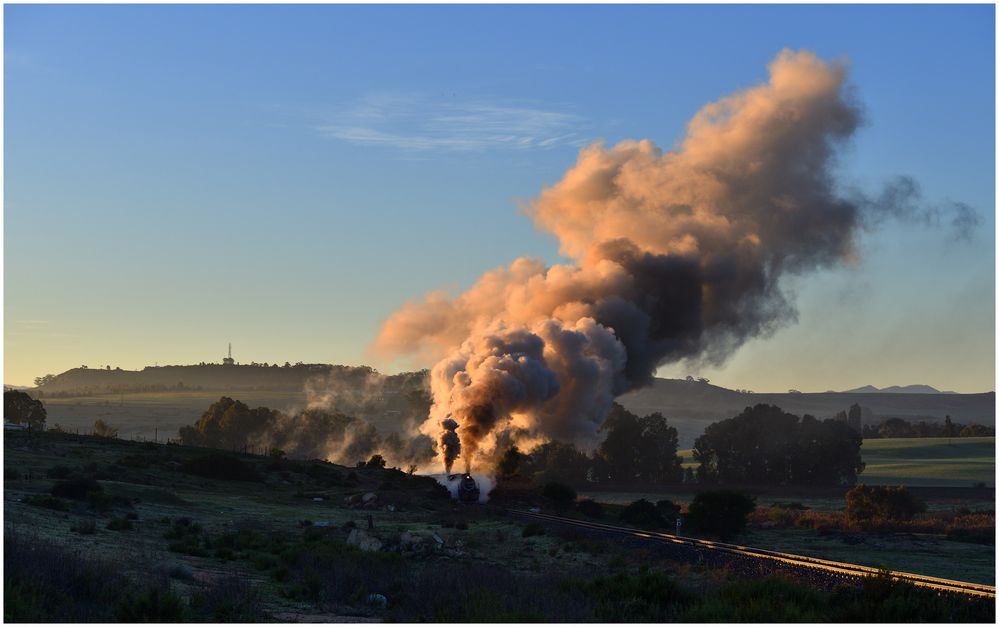 Malmesbury Mornings